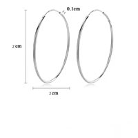 Earrings Gaurosa in Silver SE0229-20 - SE0229-20